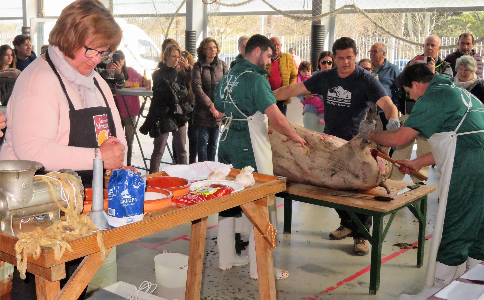 XXI Matanza Tradicional del Cerdo Ibérico de Monesterio