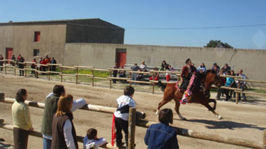 Fiesta de Los Gallos en Albalá