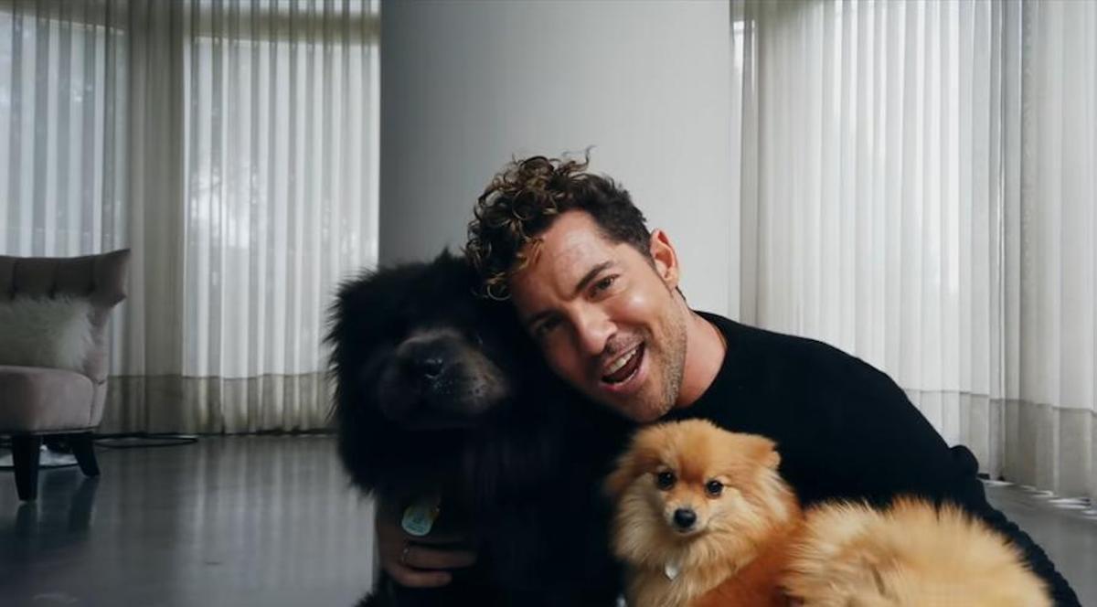 El salón de la casa de David Bisbal, con grandes ventanales la jardín.jpg