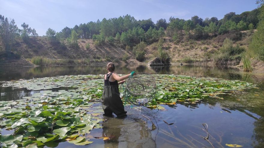 Identifiquen 458 pedreres abandonades a Girona que podrien ser hàbitats per a la fauna