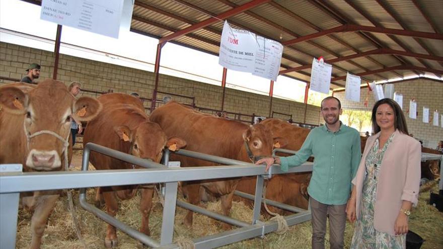 FAGA cierra tras alcanzar un éxito de ventas en la subasta de ganado