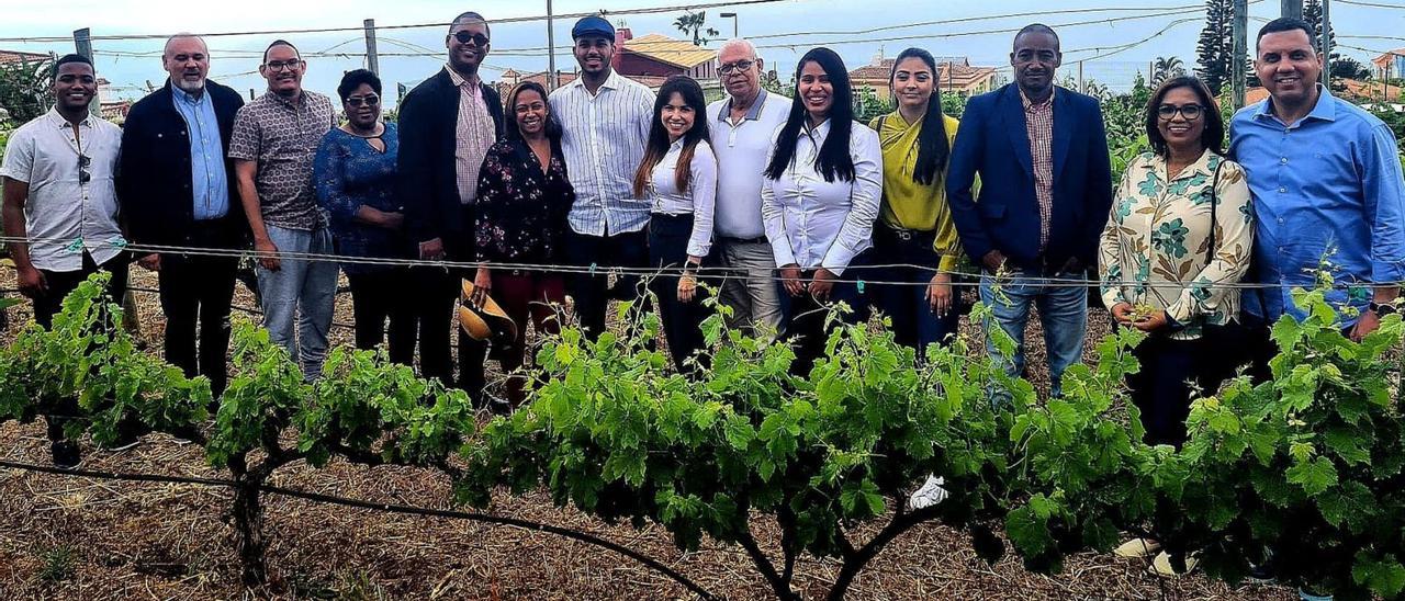 La embajada dominicana durante su visita a una bodega tinerfeña.