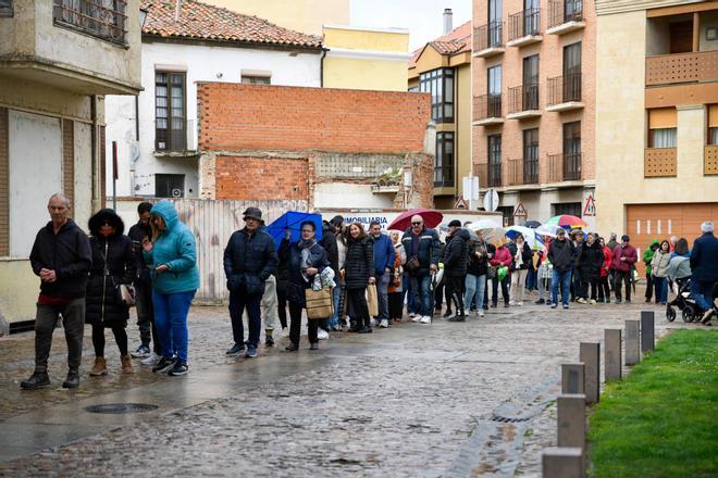 GALERÍA | Día del Árbol: la Diputación de Zamora y la Junta reparten miles de plantones