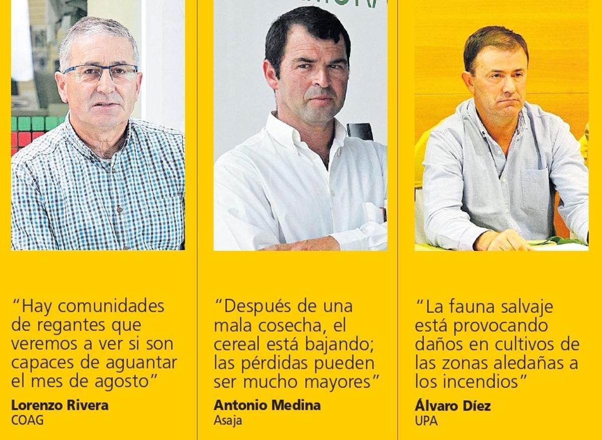 La opinión de las organizaciones agrarias