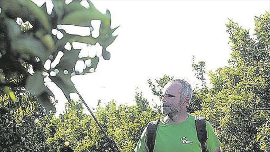 La sequía agrava el daño de jabalís y conejos en el campo provincial