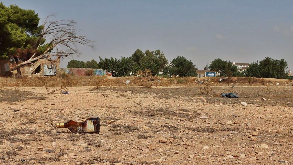 Botellas y bolsas de plástico fueron algunos de los restos que aparecieron en el solar detrás del cementerio. | LOYOLA PÉREZ DE VILLEGAS