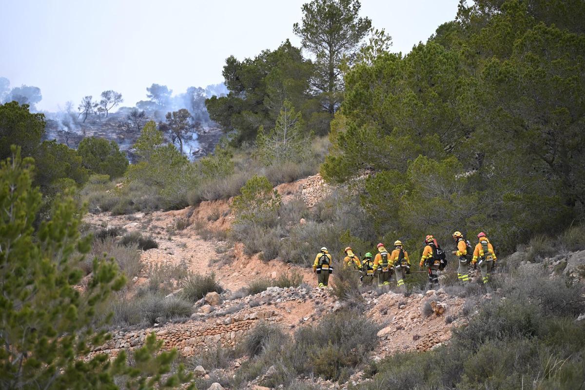Fuego en Algueña: así está siendo el operativo para la extinción