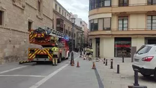 ¿Has visto a los bomberos de Zamora en San Torcuato? Esto es lo que ha pasado