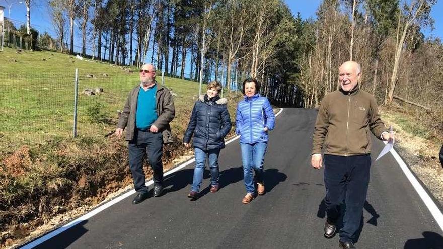 Por la izquierda, el concejal de Obras de Villayón, Valentín López; la alcaldesa de Villayón, Estefanía González; la consejera de Desarrollo Rural, María Jesús Álvarez, y el director general de Montes, José Antonio Ferrera, en Las Virtudes.