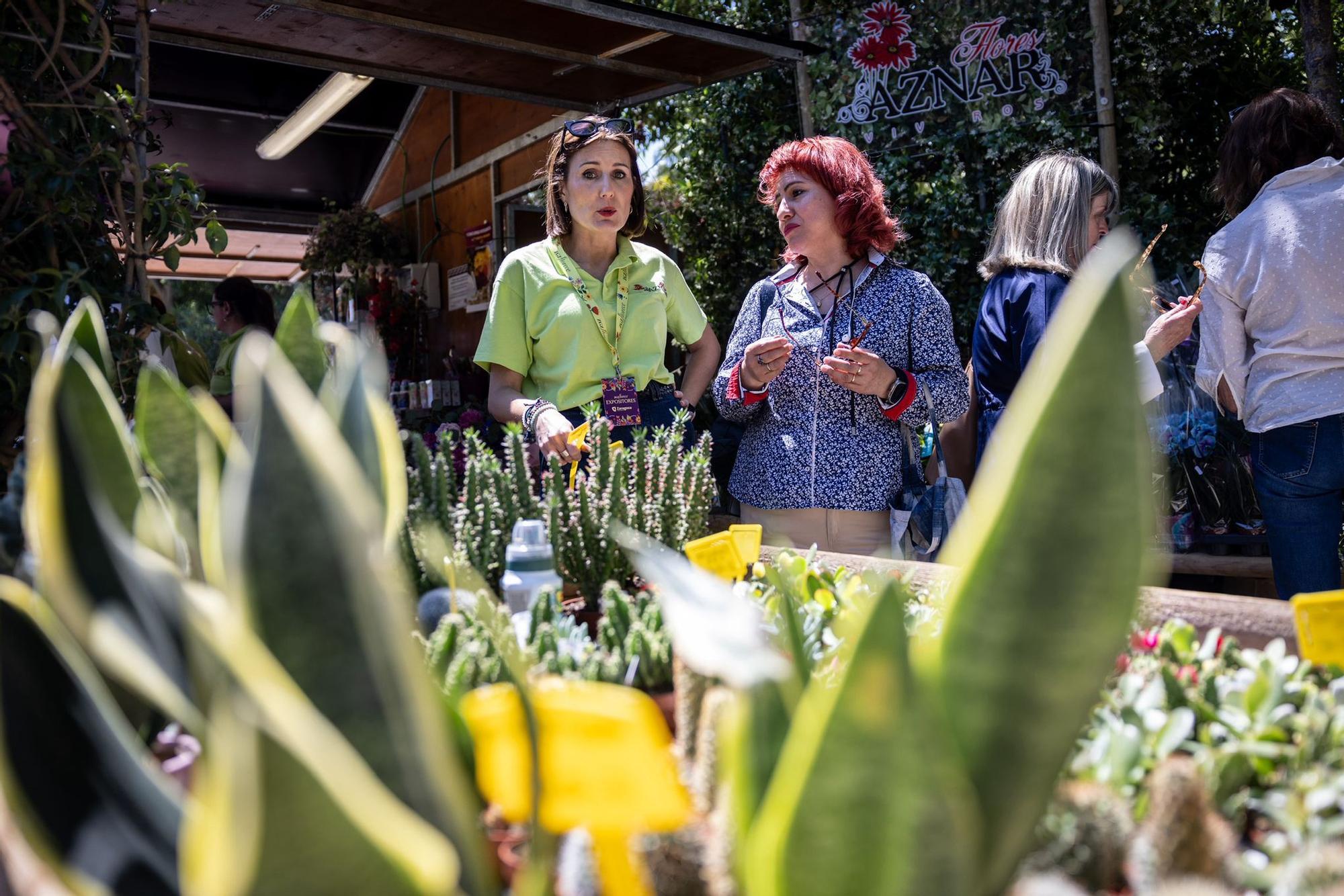 El festival Zaragoza Florece adorna el Parque José Antonio Labordeta hasta este domingo