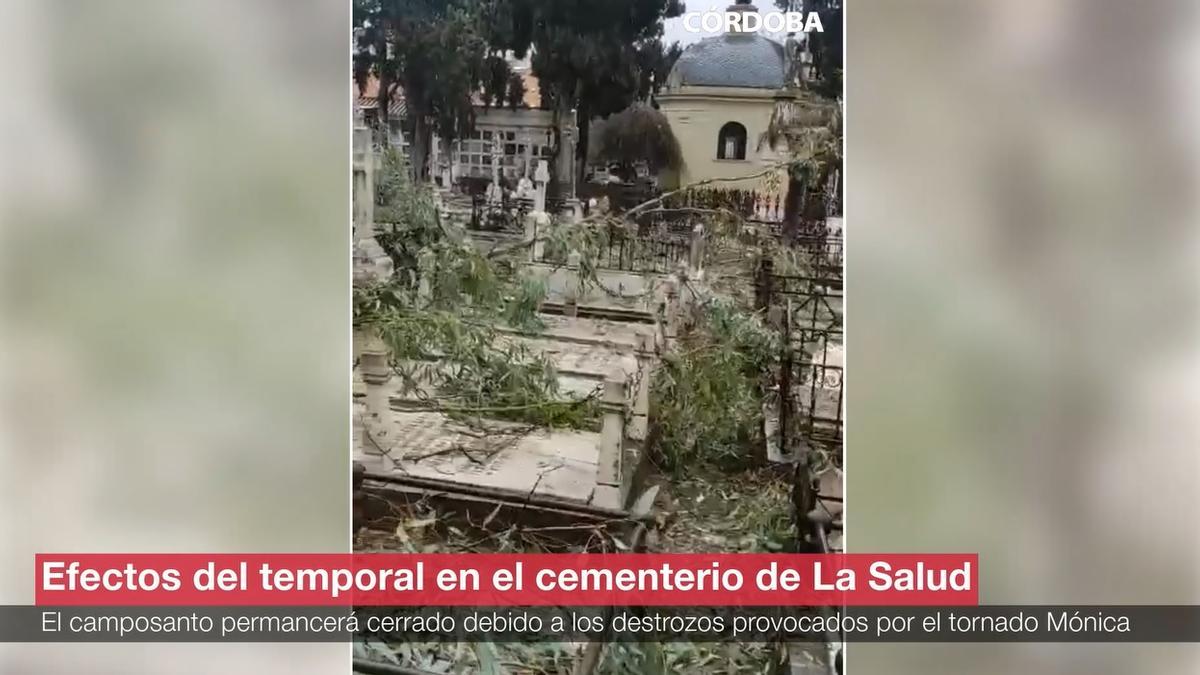 El cementerio de La Salud sufre los efectos del paso de la tormenta Mónica por Córdoba