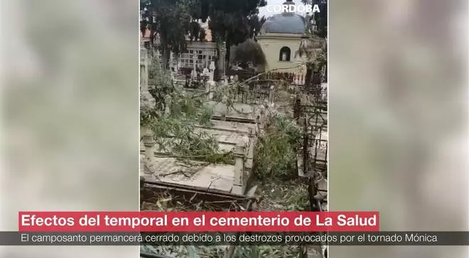 El cementerio de La Salud sufre los efectos del paso de la tormenta Mónica por Córdoba