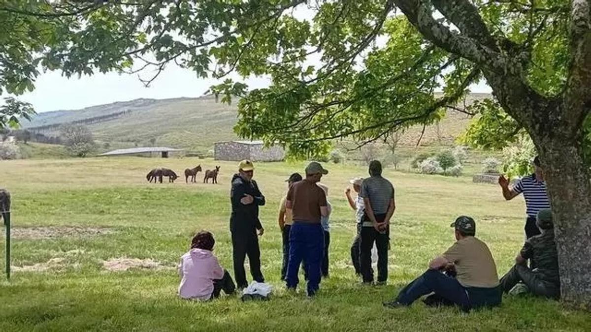 El Casal con burros de Abejera