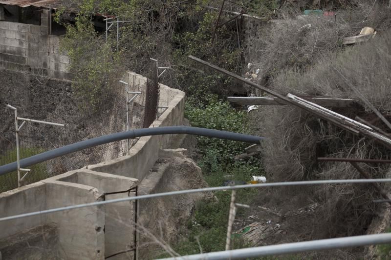 Finca de Arona donde han hallado animales muertos