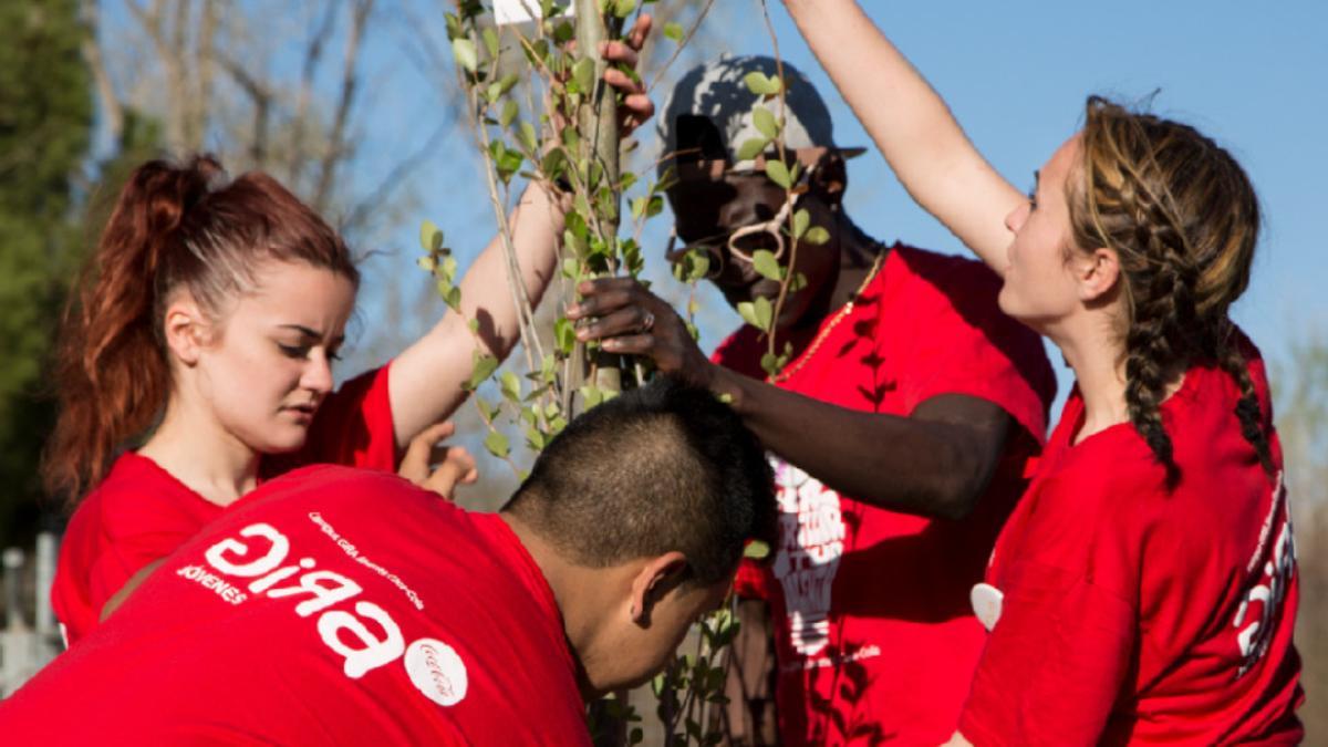 El proyecto AGRICOLARIDAD, del IES Felo Monzón de Las Palmas de Gran Canaria, finalista de GIRA Jóvenes