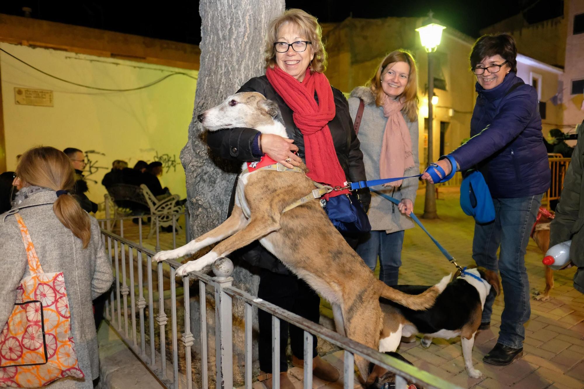 Así fue la última media fiesta de Elda el día de San Antón de 2020 dos meses antes de irrumpir la pandemia de Covid-19