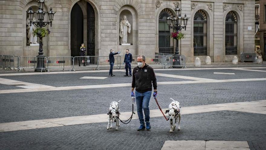 Un hombre pasea a sus perros en Barcelona.