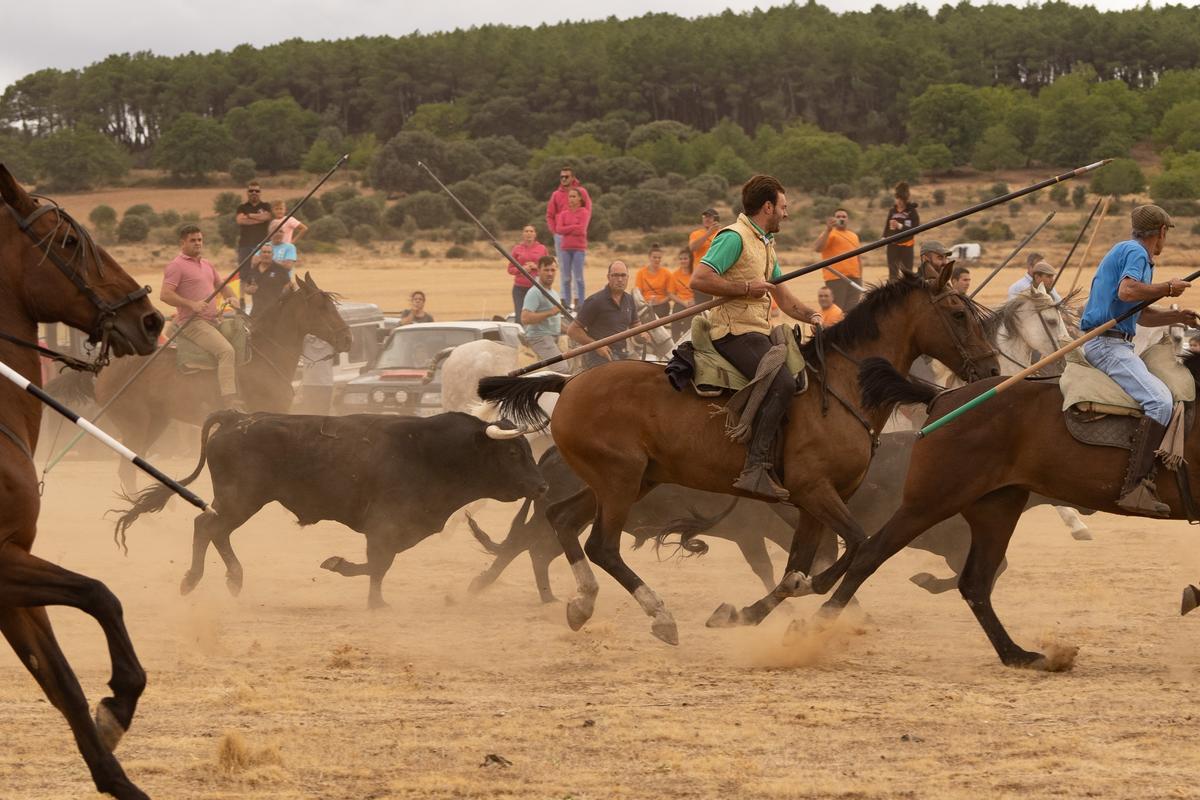 GALERIA | Espantos en Carbajales del sábado, 10 de septiembre GALERIA | Espantos en Carbajales del sábado, 10 de septiembre