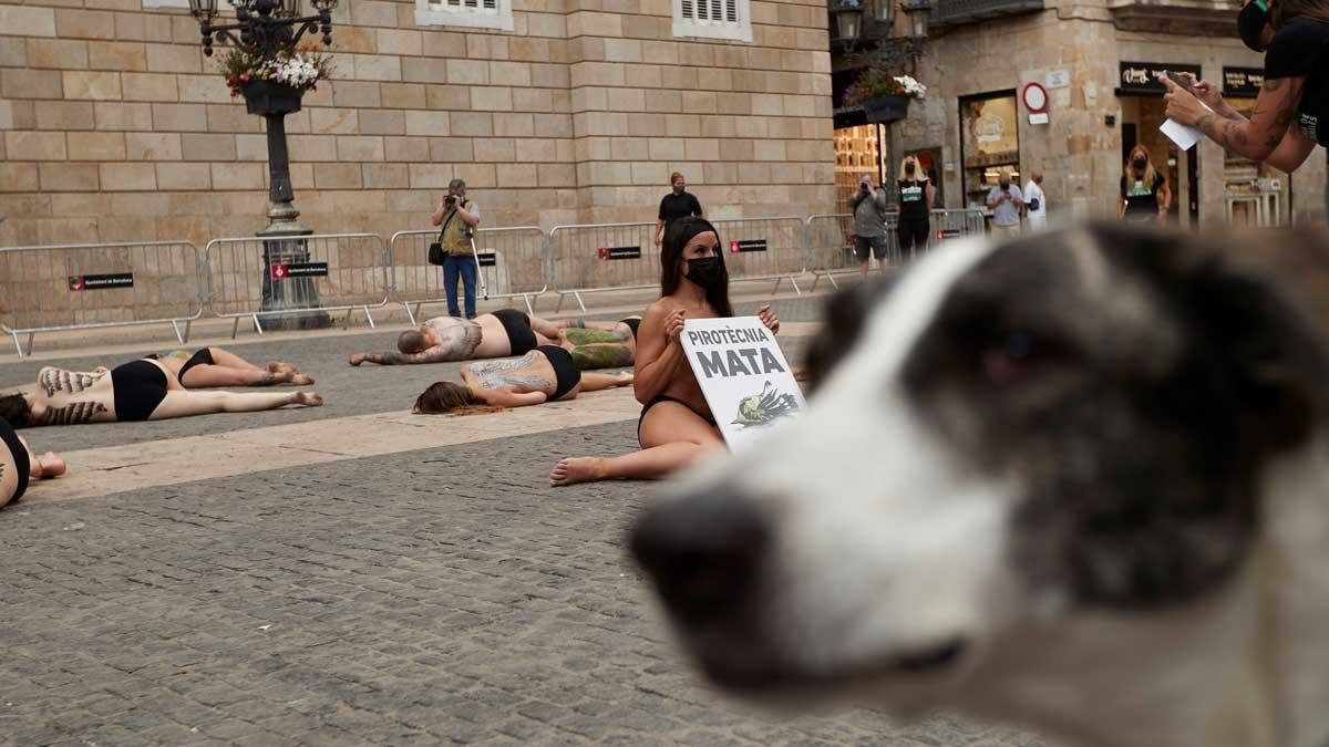 Animalistas piden a Barcelona fuegos artificiales sin sonido