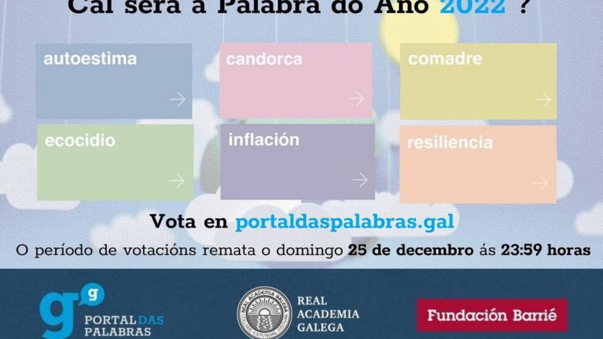 Votacións para a Palabra do Ano 2022. // RAG