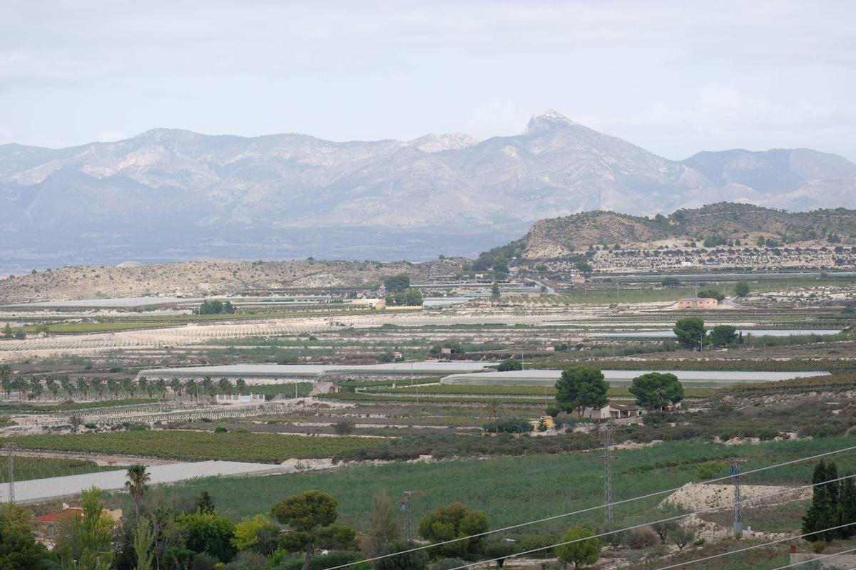 Terrenos para un parque fotovoltaico proyectado en Monforte del Cid diferente al de Total.