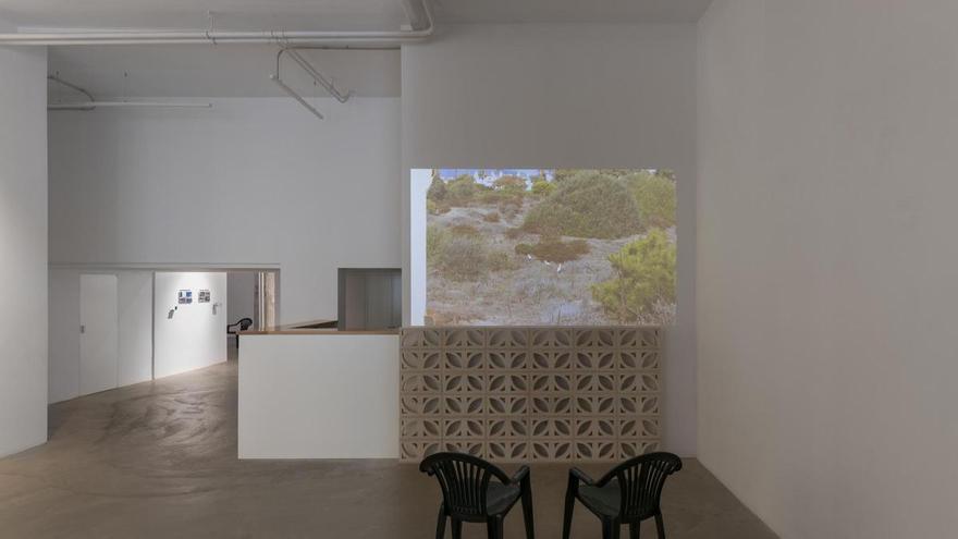 La artista de Ibiza Irene de Andrés abre la temporada de la galería Juan Silió con ‘Por un lugar en el sol’