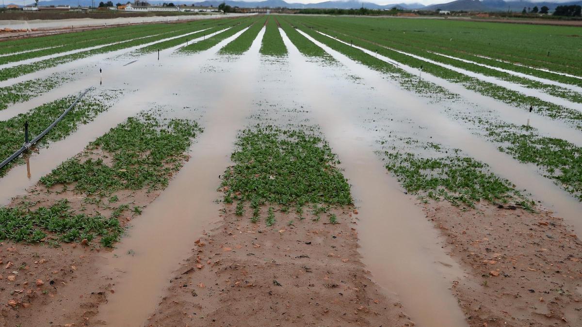 Inundaciones en el campo de Cartagena tras la caída de fuertes lluvias.