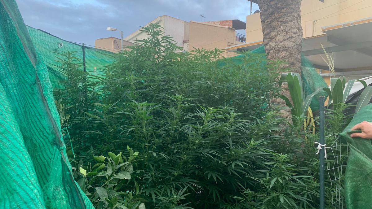 Patio de la vivienda donde se cultivaba la marihuana.