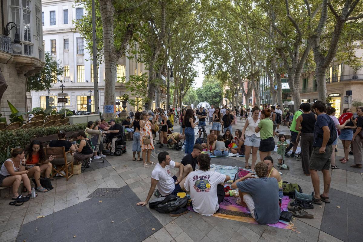 Los palmesanos recuperan el Born: "Hoy el paseo es nuestro" Los palmesanos recuperan el Born: "Hoy el paseo es nuestro"