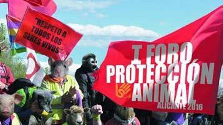 La edil Moreno organiza para marzo un foro de protección animal