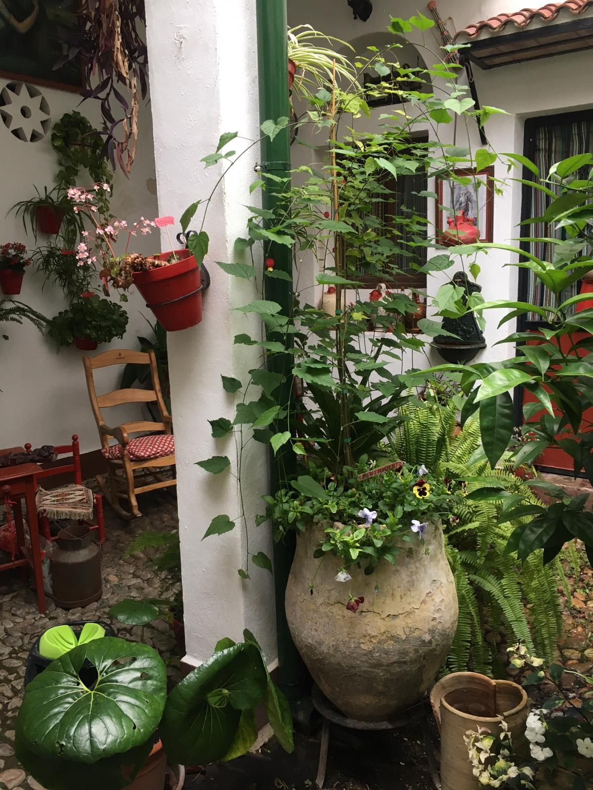 Los patios de Córdoba, San Lorenzo San Rafael