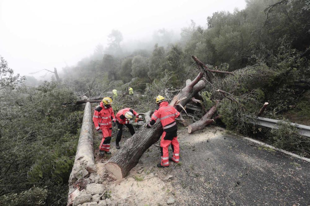 Carretera cortada en Valldemossa.