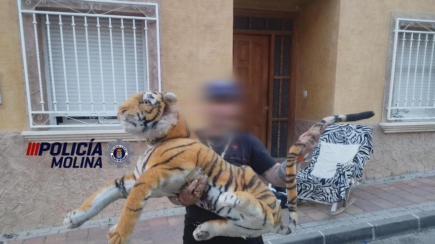 Pánico en un pueblo de Murcia: vecinos llaman a la Policía al creer que había un tigre suelto en los tejados
