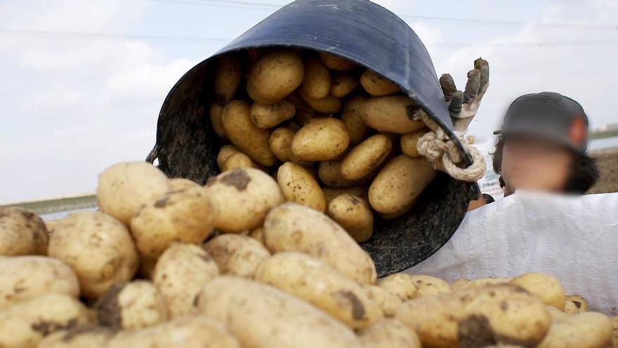 Una red de trata esclavizó a un hombre con discapacidad intelectual en Sevilla: "Dormía en un colchón en el suelo dentro de una tienda de campaña"
