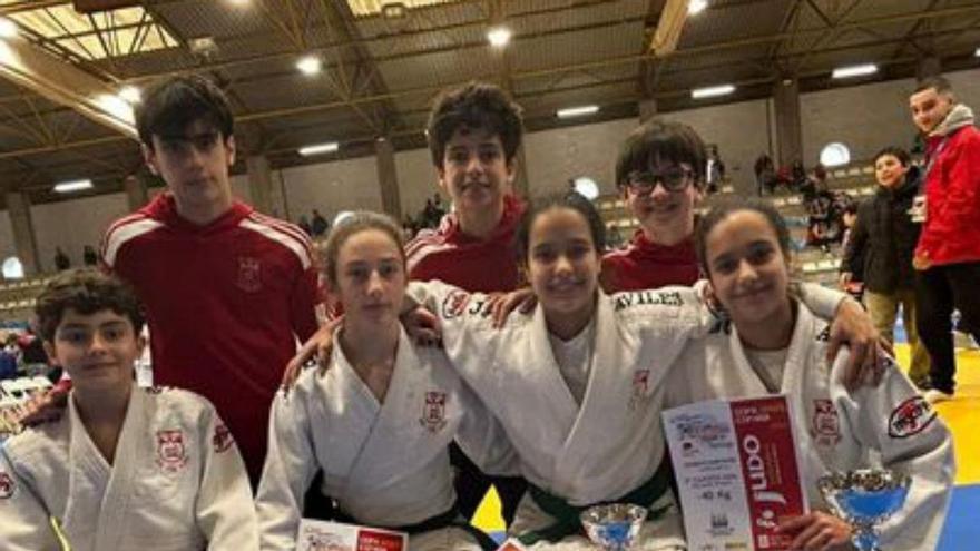 Buen resultado en la Copa de Santiago para el Judo Avilés