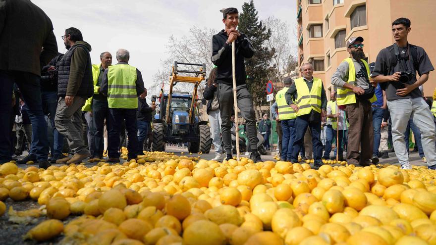 Los agricultores de Málaga tiran limones en protesta por la situación del campo