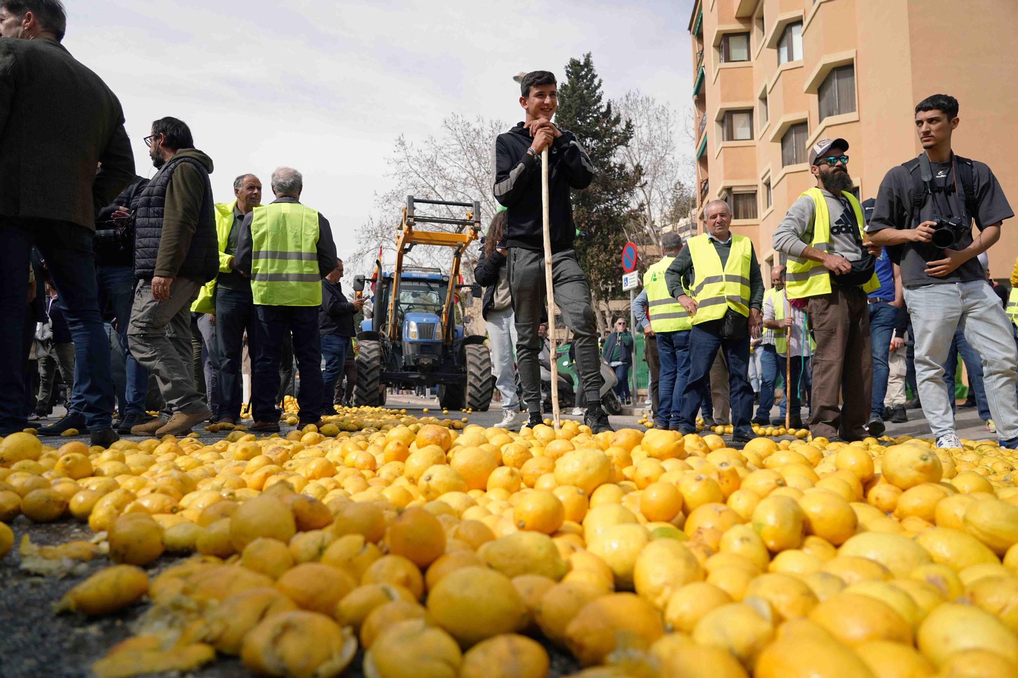 Concentración de agricultores en las puertas de la Subdelegación de Gobierno de Málaga, en el Paseo de Sancha.