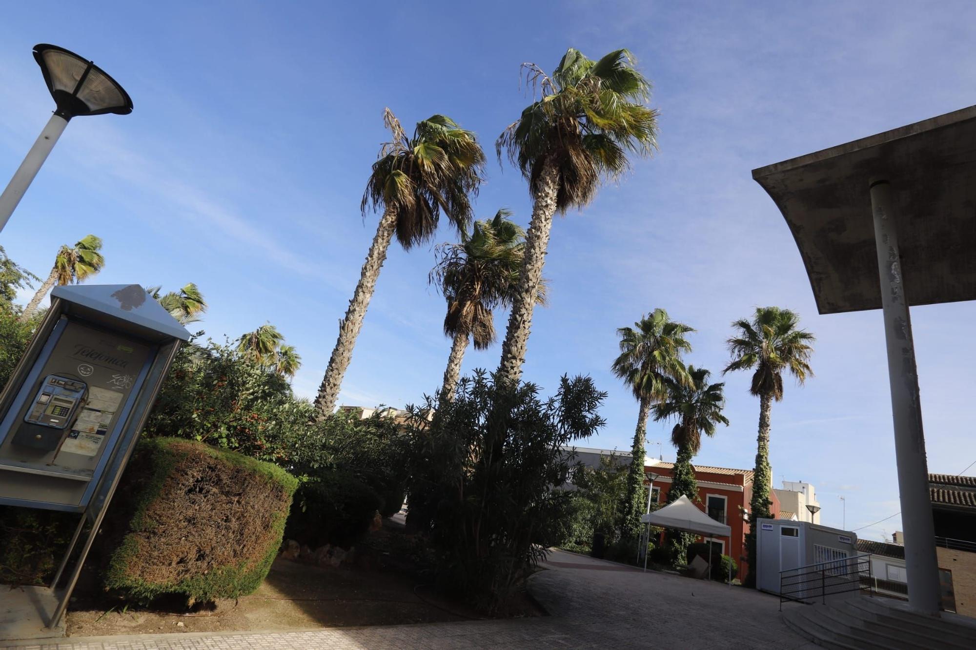 El viento sopla fuerte en Almussafes