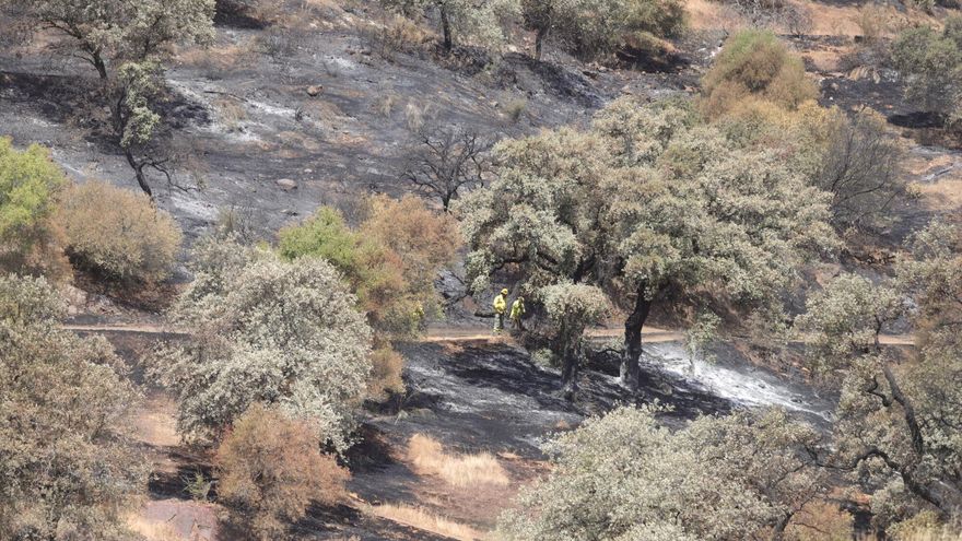 Los efectos del fuego de la Albaida