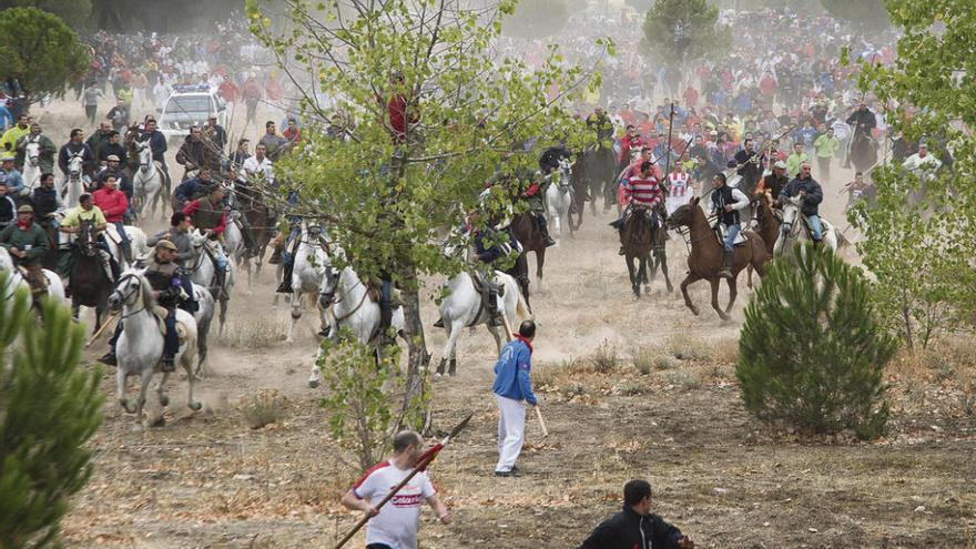 Celebración del Toro de la Vega en 2015.