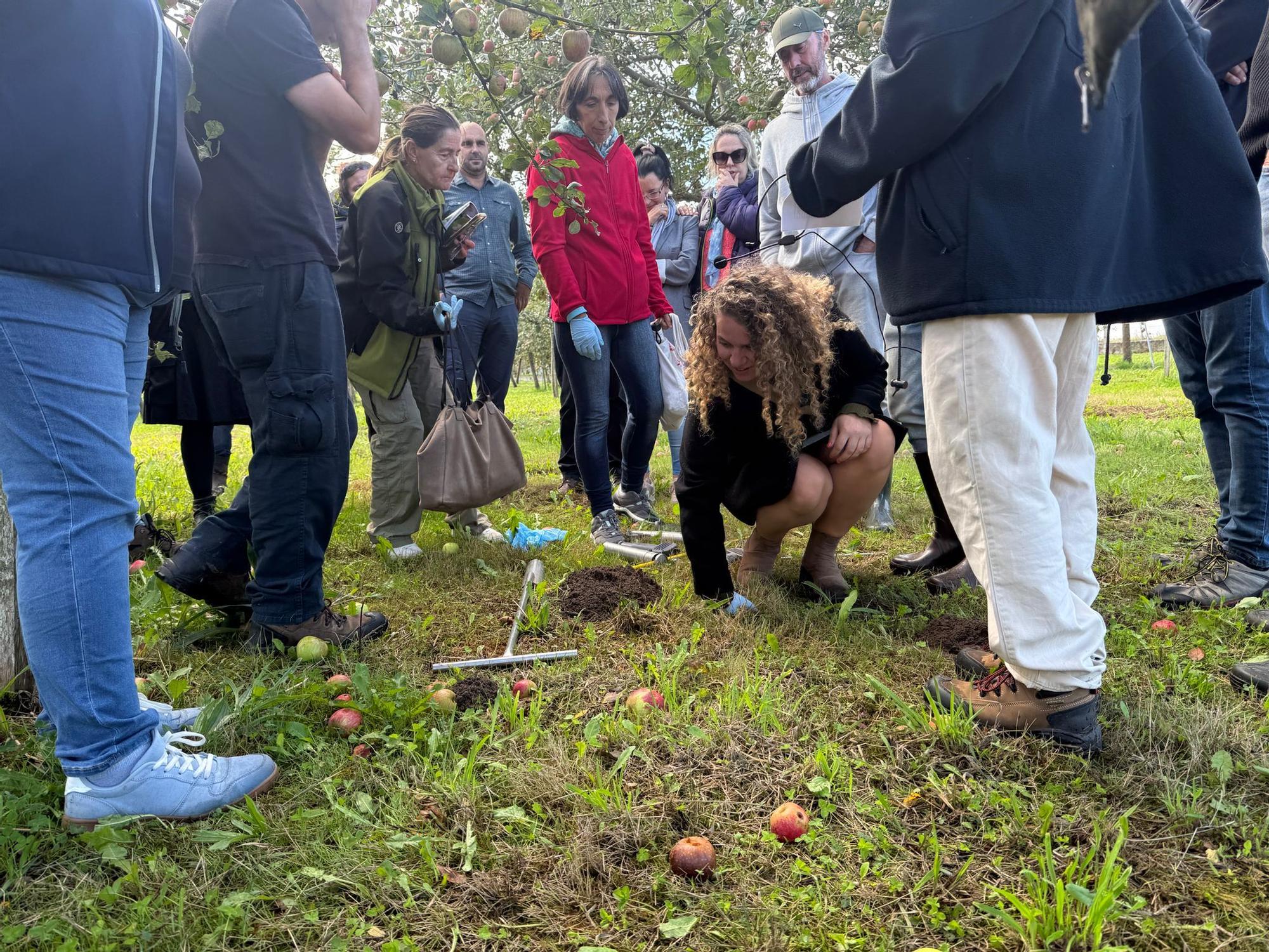 El SERIDA explica sobre el terreno las medidas de protección contra las plagas de roedores en pomaradas