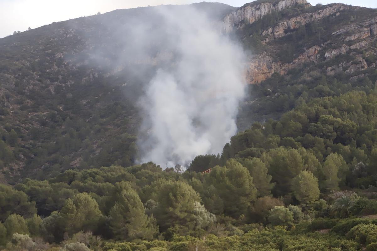 Un incendio forestal en Alzira amenza la Murta y dos centenares de viviendas
