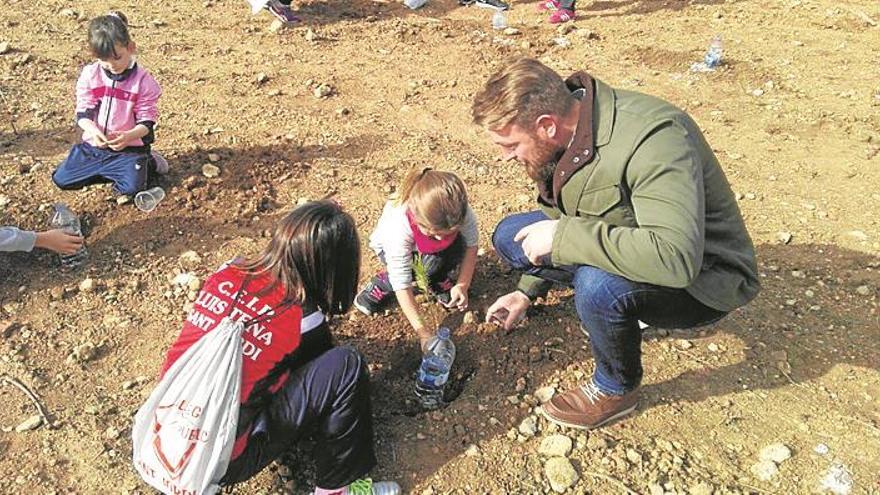 escolares plantan carrascas y pinos en el bovalar