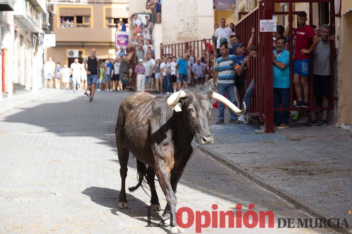 Séptimo encierro de las Fiestas de Moratalla