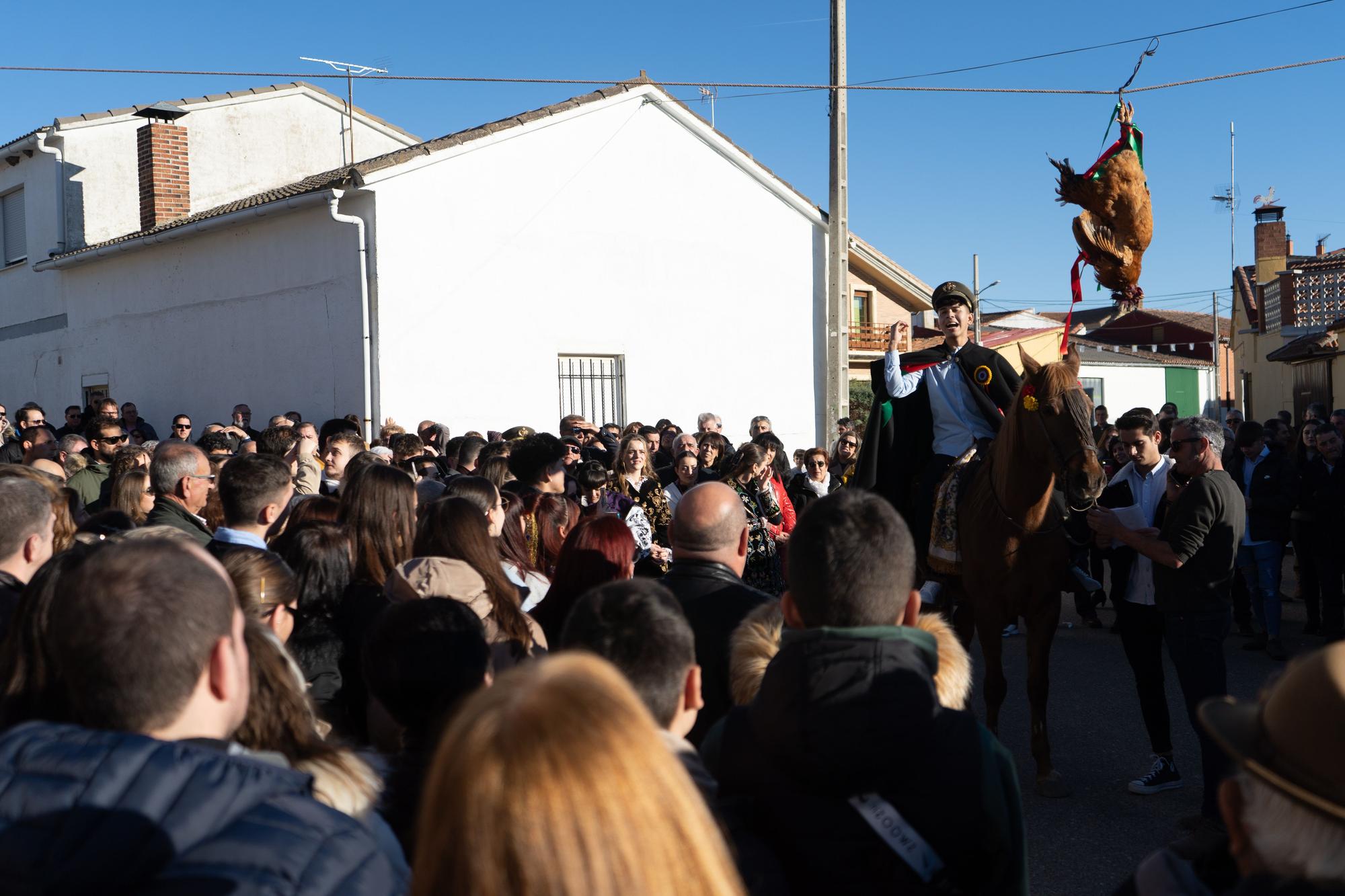 GALERÍA | Fiesta de los quintos en El Pego