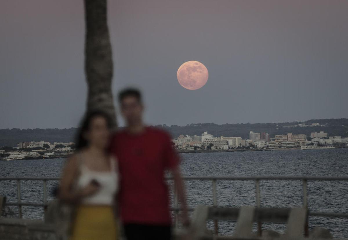 Der Erdbeermond verzückt Mallorca