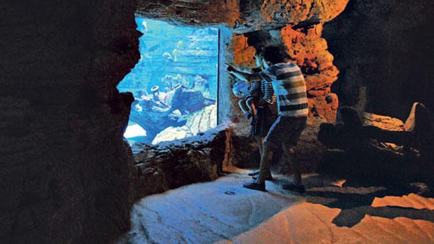 Una trabajadora del centro limpia el interior de la torre del centro de interpretación.