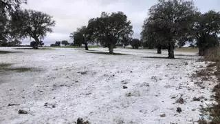 El campo de Añora recibe la primera nevada del año