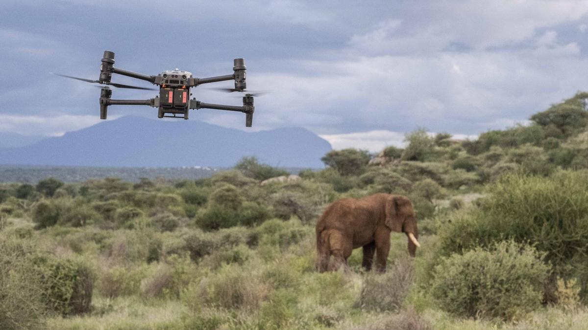Dron en uso en la Reserva Nacional de Samburu.
