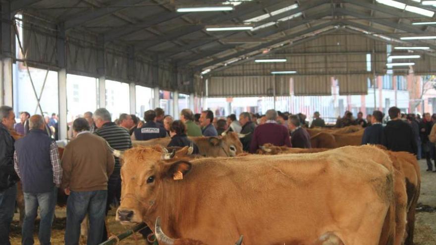 Feria de la Candelaria queda fuera del calendario nacional de ferias 2026